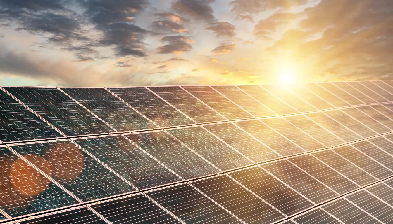 Untitled design – 2025-10-14T180532.707 (1)