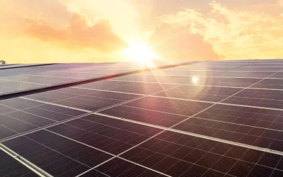 Why TradePlus Is an Authorized Adani Solar Dealer in Madhya Pradesh