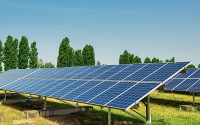 Ground Mounted Solar Projects Case Study of TradePlus EPC Execution